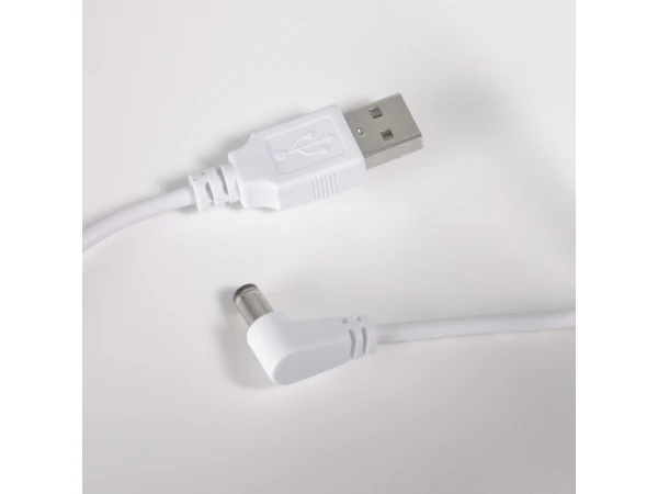 Vloerlamp Voor Buiten DINESH - Zwart Zwart 9 Vloerlamp Voor Buiten DINESH - Zwart Zwart - Afbeelding 7