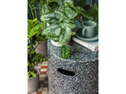 Bijzettafel Voor Buiten JENELL - Zwart Terrazzo Zwart 10 Bijzettafel Voor Buiten JENELL - Zwart Terrazzo Zwart -Lifetime || ESSENZA || Zuiver Winkel kave home jenell 42667