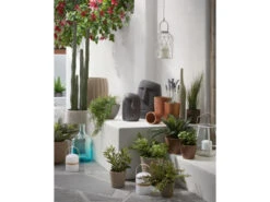 Beeld LEVIA 31 Cm - Cement Grijs -Lifetime || ESSENZA || Zuiver Winkel kave home levia 42186