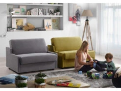 Zetelbed EMANTI Met Bonellverenmatras - Groen Groen -Lifetime || ESSENZA || Zuiver Winkel sofabed by recor emanti 43343