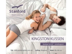 Hoofdkussen Kingston Standaard Wit -Lifetime || ESSENZA || Zuiver Winkel stanford kingston 24124