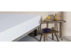 Matrasbeschermer ECO BRISA - Molton Wit -Lifetime || ESSENZA || Zuiver Winkel velfont eco brisa 46481